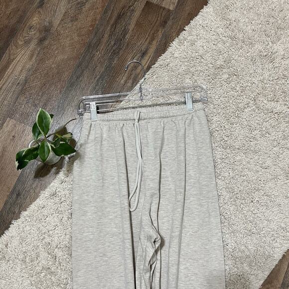 Aerie Light Gray Jogger Pants - Picture 3 of 6